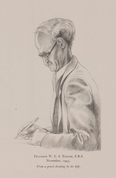 Professeur W E S Turner, novembre - Frederick (attr. to) Barnard
