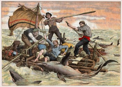 Attaque de requins - . .