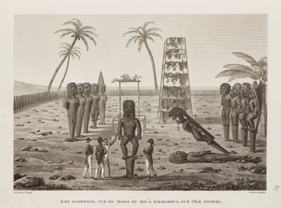 Le Morai du roi à Kayakakoua, îles Sandwich - John Pardon