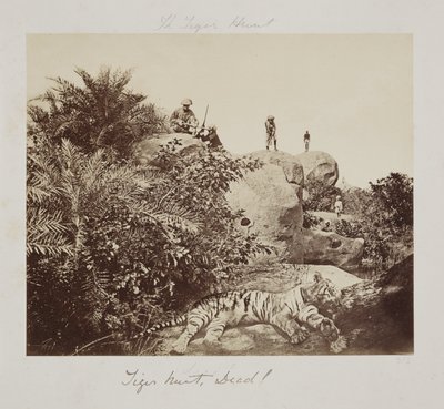 Chasse au tigre, mort! - John Pardon