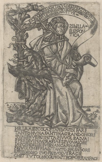 Sibylle Helléspontique - after Baccio Baldini