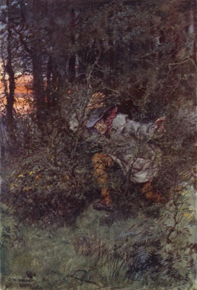 Illustration pour Martin Chuzzlewit - after Charles Edmund Brock