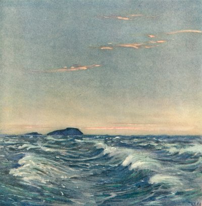 Chevaux blancs - after Donald Maxwell