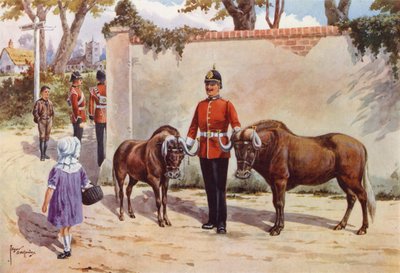 Wildebeestes (ou Gnou à queue blanche), animaux de compagnie des South Wales Borderers - after Edgar Alfred Holloway