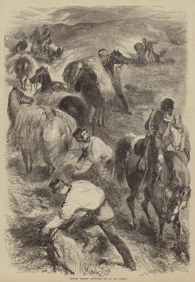 Cavalerie anglaise récoltant du foin en Crimée - after Edmond Morin