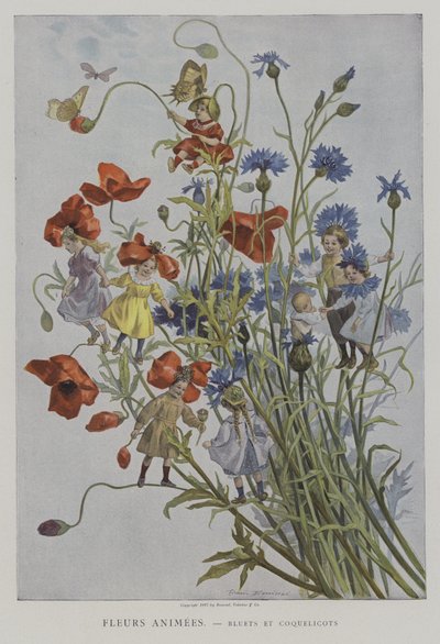 Fleurs Animées. Bluets et Coquelicots. - after Firmin Bouisset