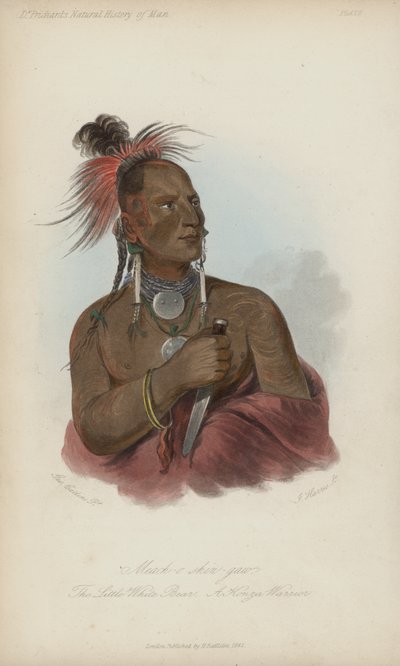 Meach-o shin-gaw, Le Petit Ours Blanc, Un Guerrier Konza - after George Catlin