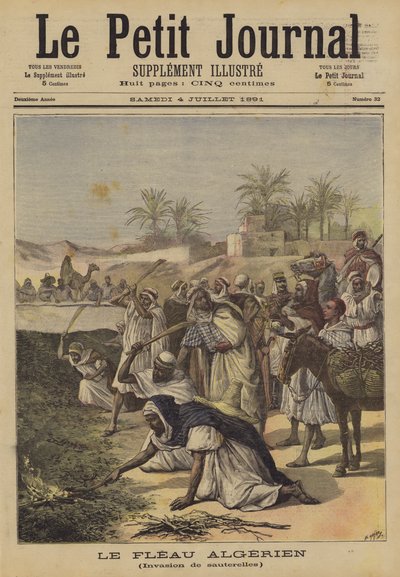 La peste algérienne - after Henri Meyer