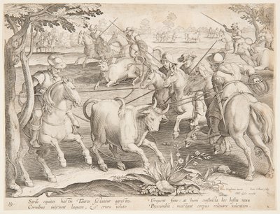 Capture de taureaux sauvages - after Jan van der Straet, called Stradanus