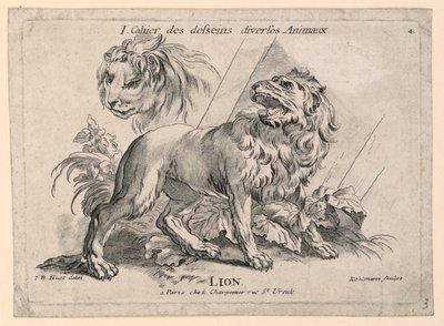 Études de Lions, Planche 4 de "Cahier des Desseins Diverses Animaux" - after Jean Baptiste Huet