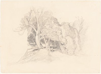 Paysage avec des arbres - after John Sell Cotman British 19th Century