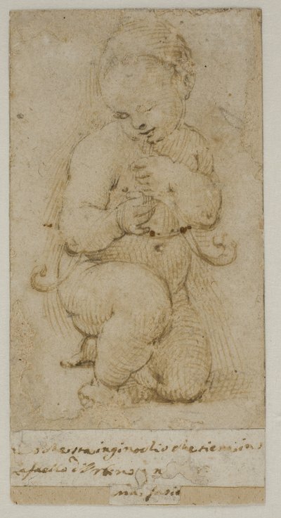 Le jeune Jean-Baptiste - after Raphael