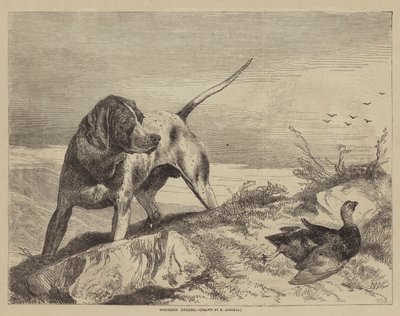 Grouse blessé - after Richard Ansdell