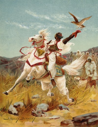 Chasse au faucon au Maroc - after Stanley Berkeley