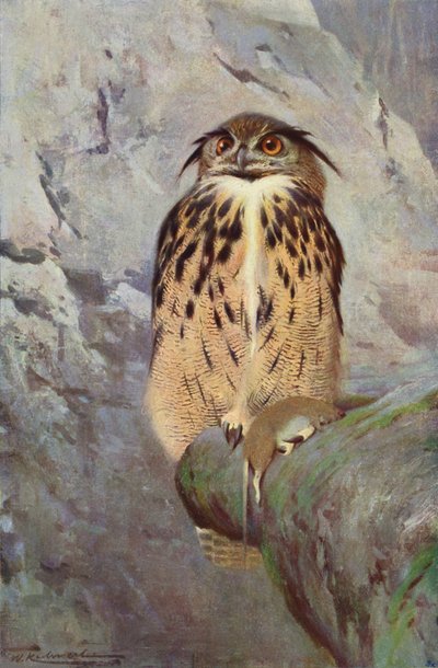 Hibou grand-duc - after Wilhelm Kuhnert