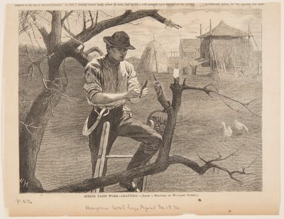 Travail agricole de printemps – Greffage - after Winslow Homer