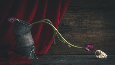 Crâne floral sombre - alan shapiro