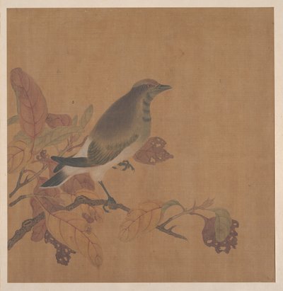 Oiseau sur une branche - anonymous 