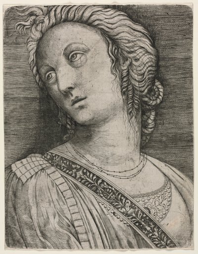 Buste d
