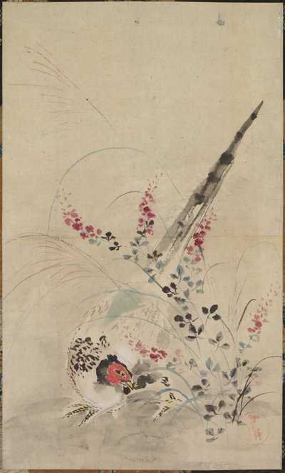 Faisan et Herbes - attributed to Ogata Kōrin