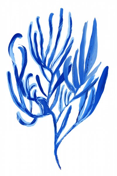 Abstrait : Corail bleu - cartissi