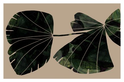 Feuilles vertes abstraites - cartissi