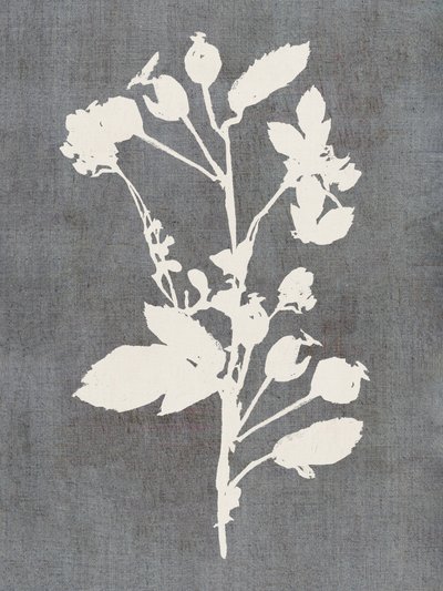 Silhouette de rose botanique - cartissi