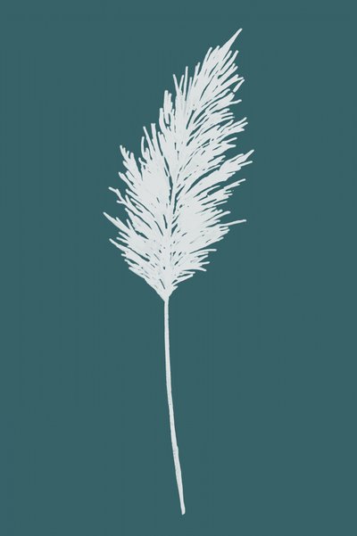 Élégante plume de pampa - cartissi