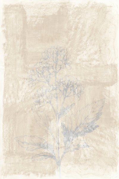 Esquisse botanique délavée - cartissi