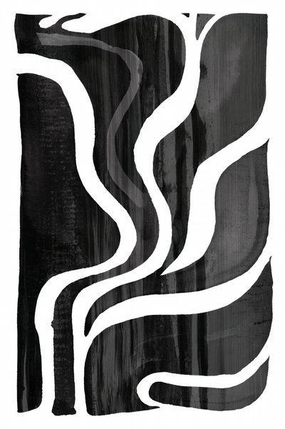 Lignes organiques fluides - cartissi
