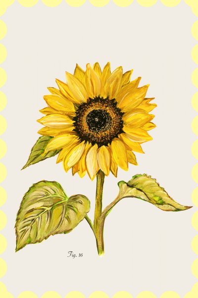 Tournesol doré - Motif botanique - cartissi