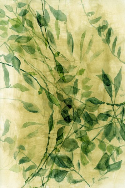 Feuilles vertes à l