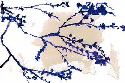 Branches de printemps indigo - cartissi