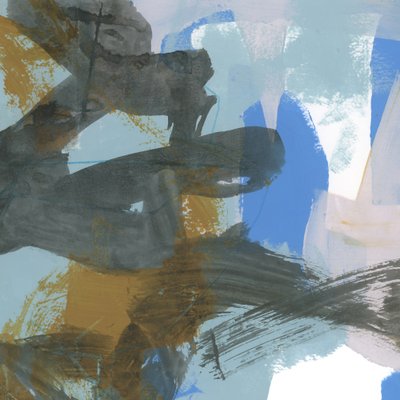 Étude sur les fragments de lichen 2 - cartissi