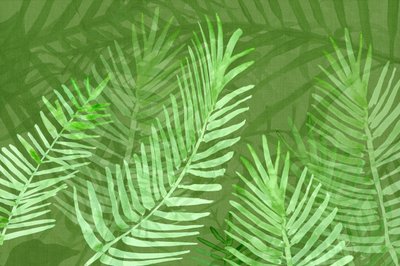 Feuilles de palmier tropicales luxuriantes - cartissi