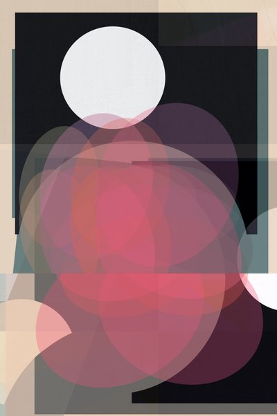 Composition rose moderne - cartissi