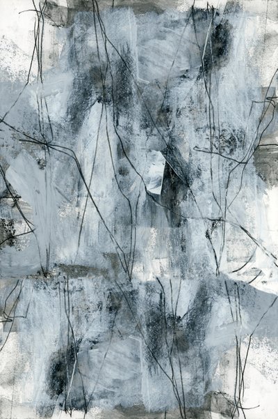 Abstraction organique grise - cartissi