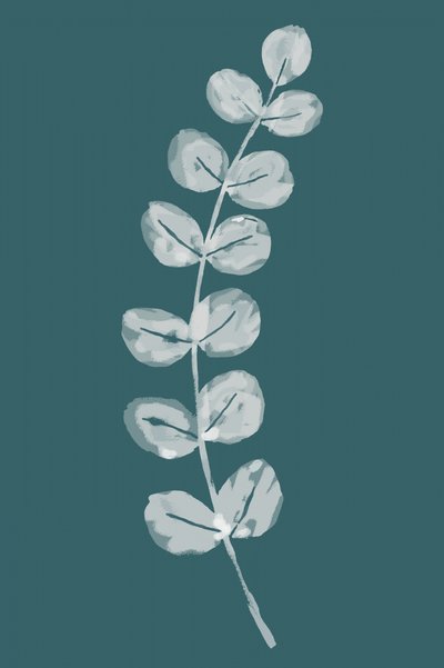 Feuilles d