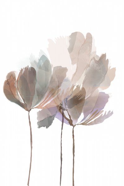 Fleurs aux couleurs aquarellées - cartissi