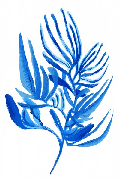 Feuillage bleu tropical - cartissi