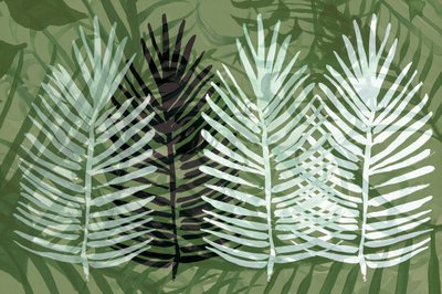 Feuillage vert tropical - cartissi