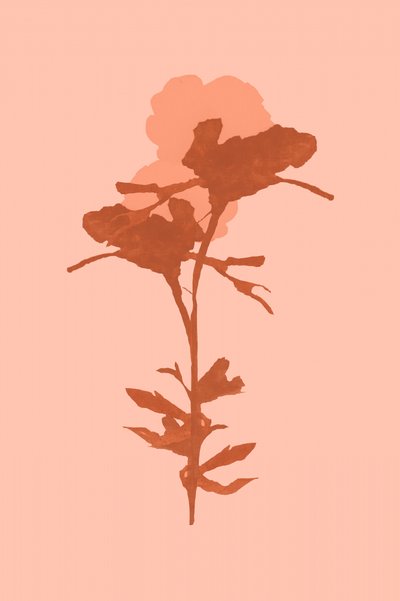 Une floraison botanique chaleureuse - cartissi