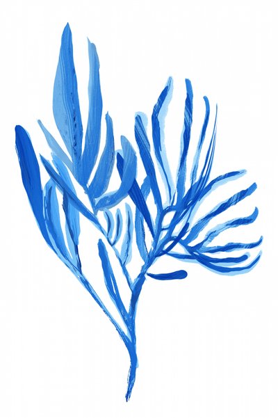Formes végétales bleu clair - cartissi