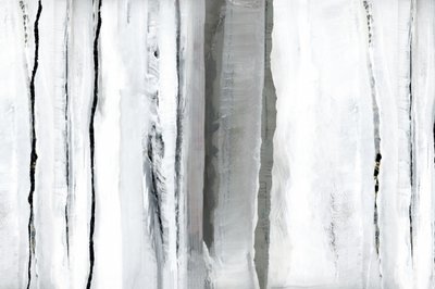 Abstraction de la Forêt Blanche - cartissi