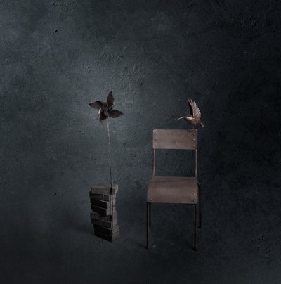 Oiseau noir, chaise vide - chenyi wang