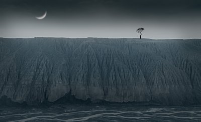  - chenyi wang