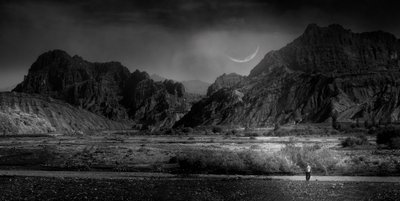  - chenyi wang