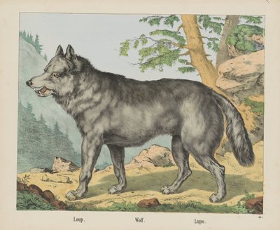 Loup - firma Joseph Scholz