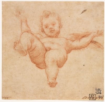 Cupidon volant - follower of Annibale Carracci