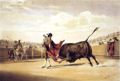 Taureau chargeant alors que le matador joue avec la cape - lake Price